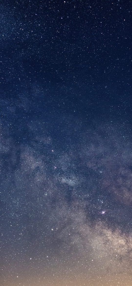 植物大战僵尸在线玩免费版 App 关卡选择界面截图，深色背景下列出白天草坪关卡与推荐阵容标签